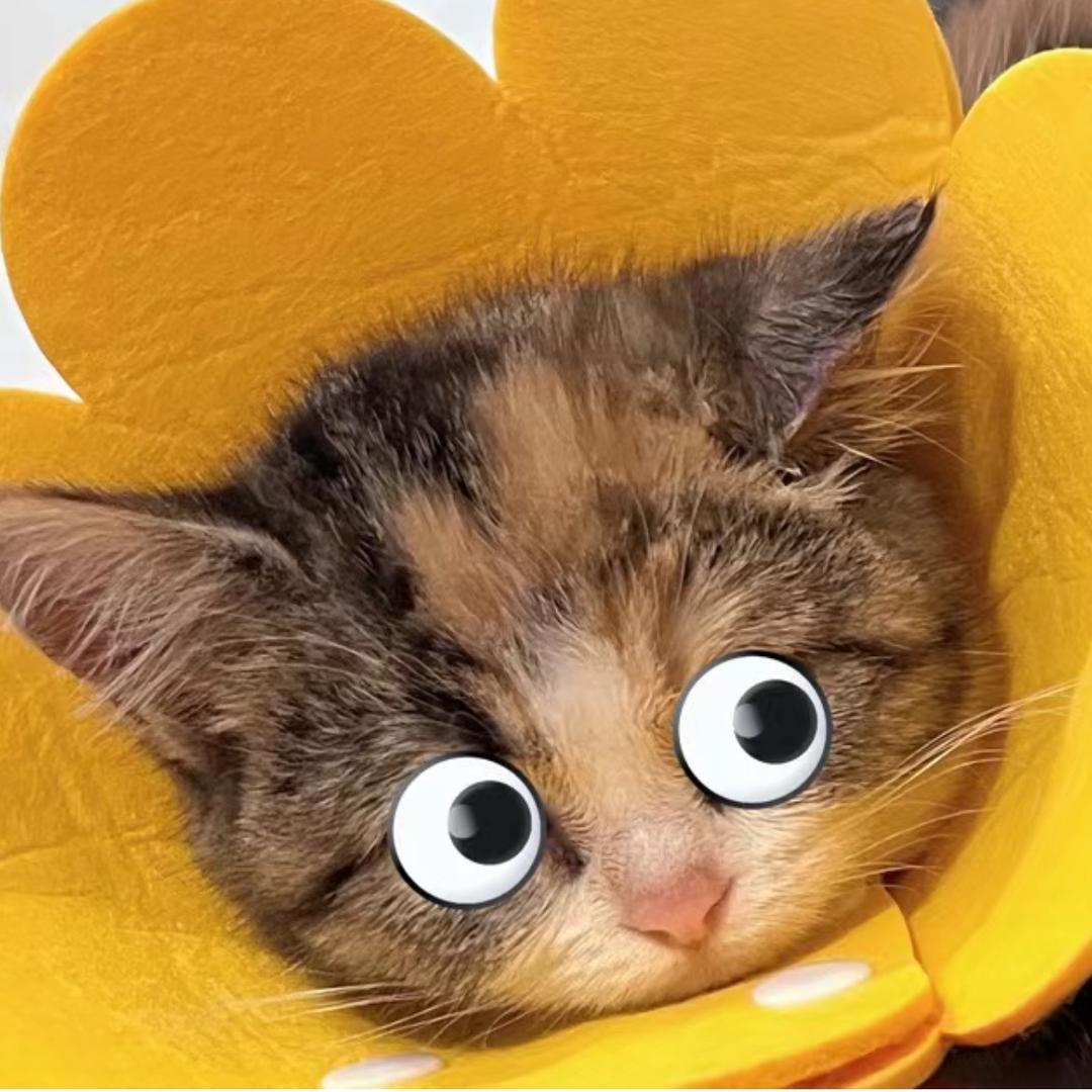 猪桑