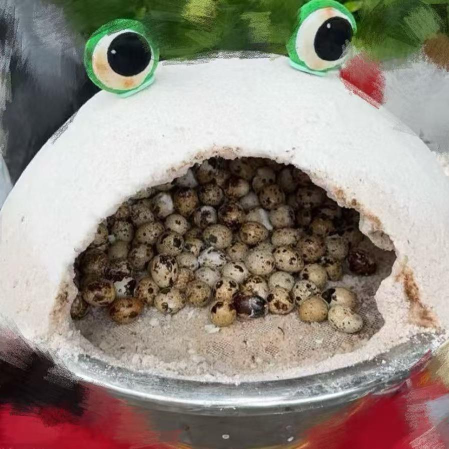 五香盐焗鹌鹑蛋-恩施