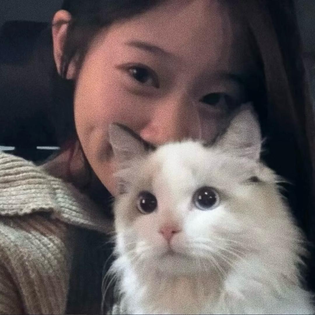是蔡非菜