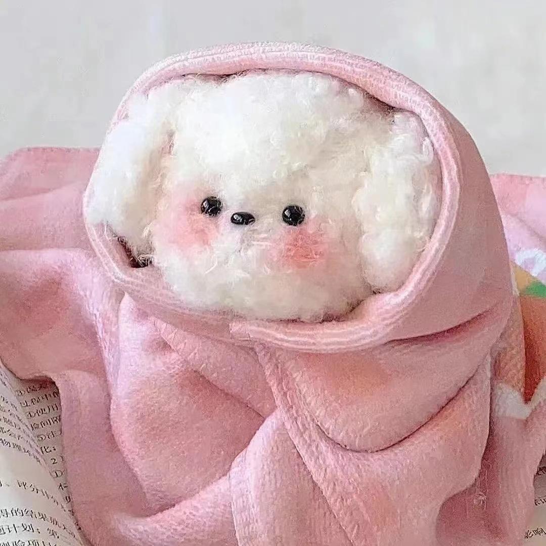 程小蜗