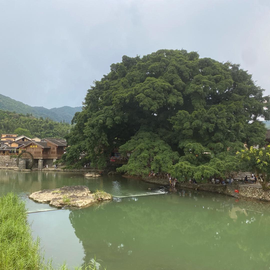 稻草山农