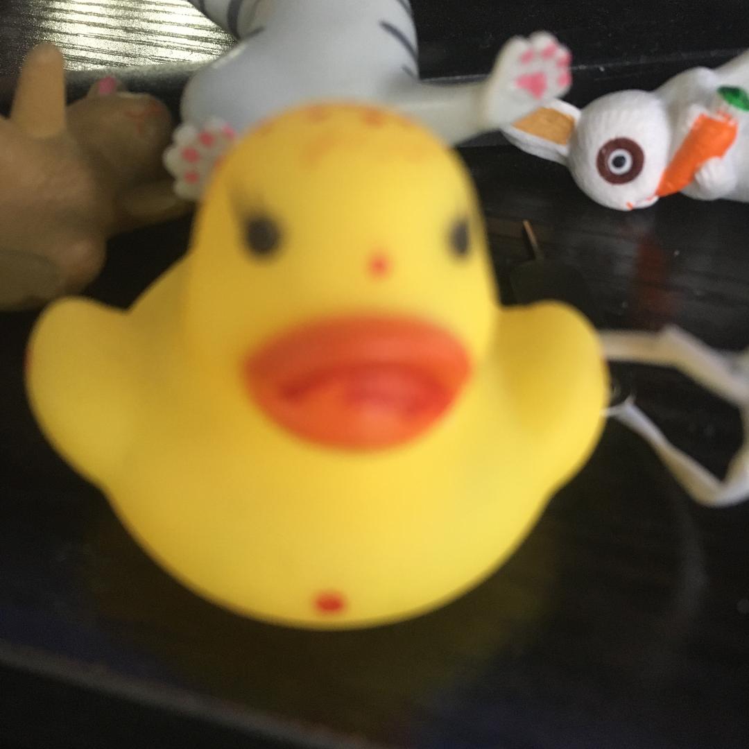 九月月