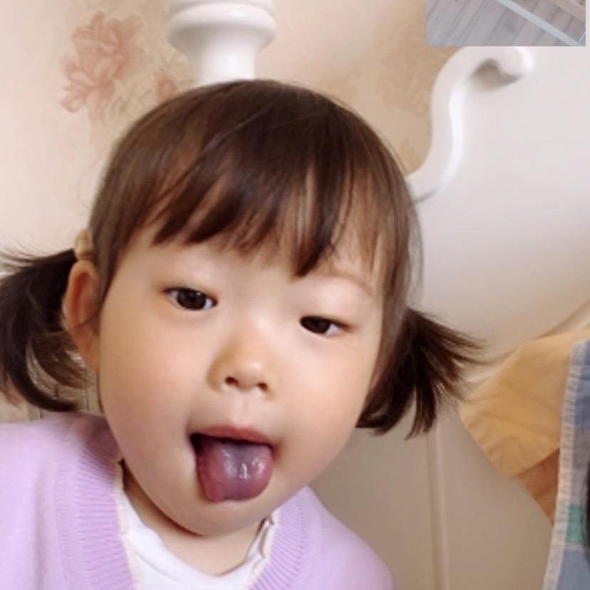 彭彭又怀孕了🤰