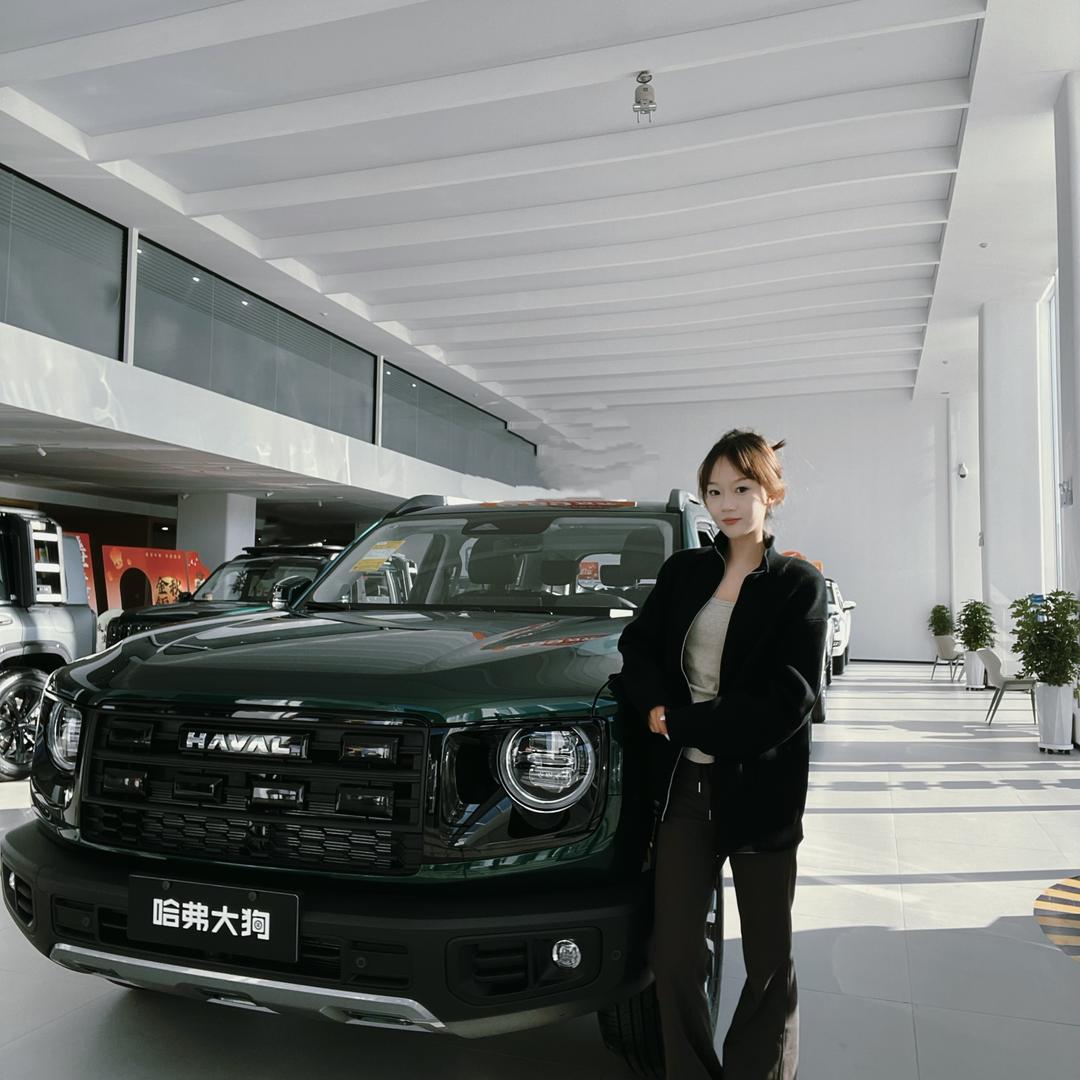 哈弗SUV-齐市博能汽车