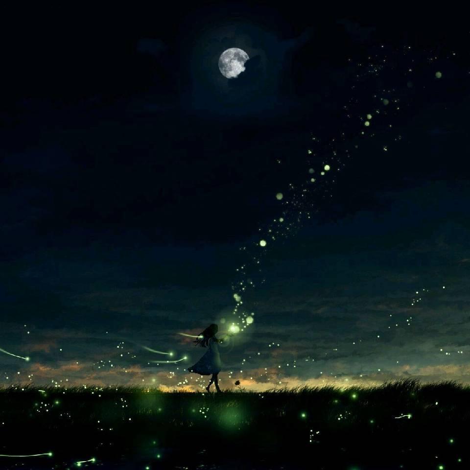 夜，萤火虫和你