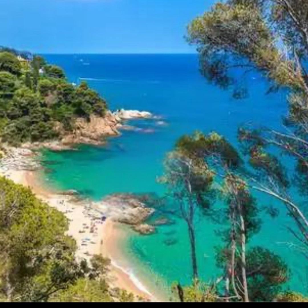 客家特产（小莊）💖