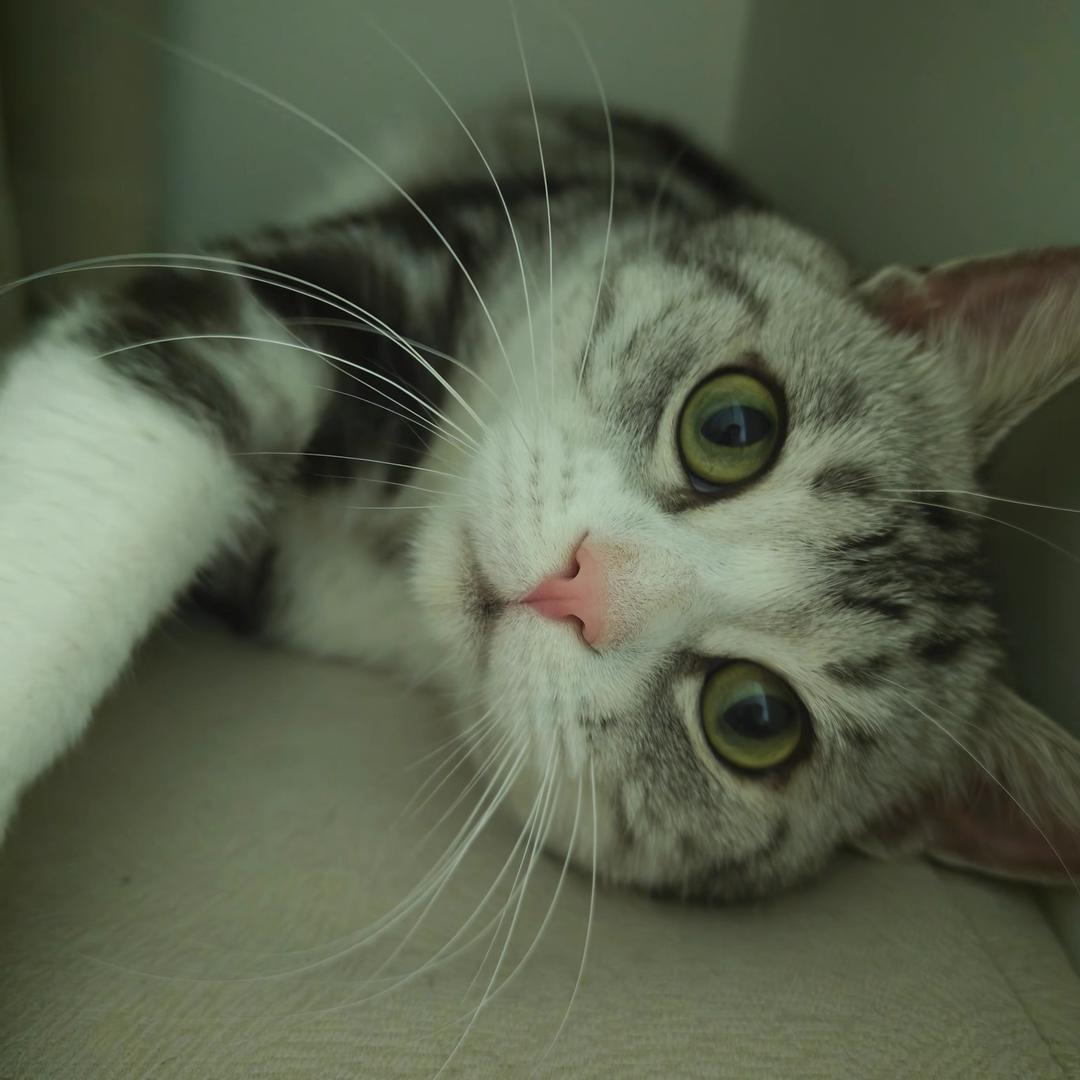 暴富元气小仙女