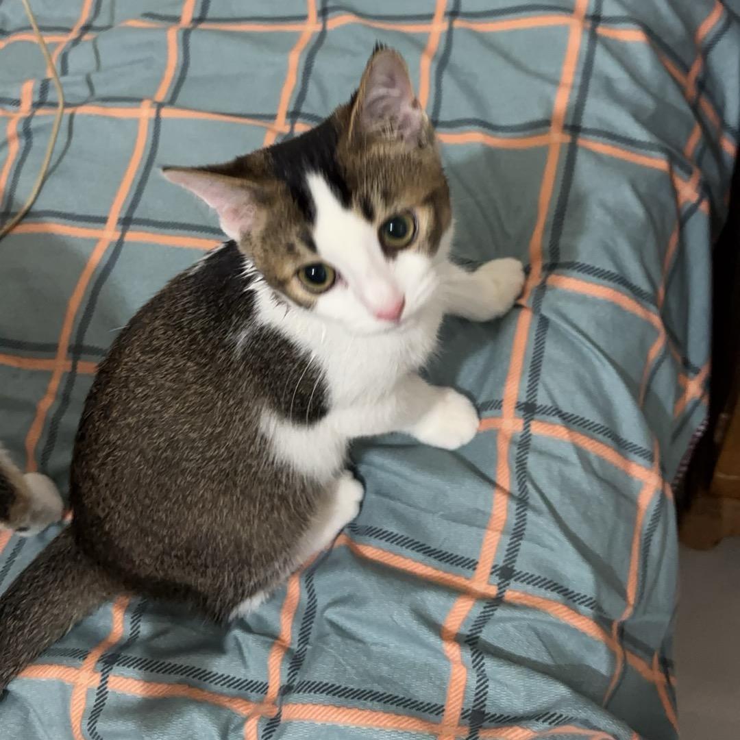 周可儿(好运版）