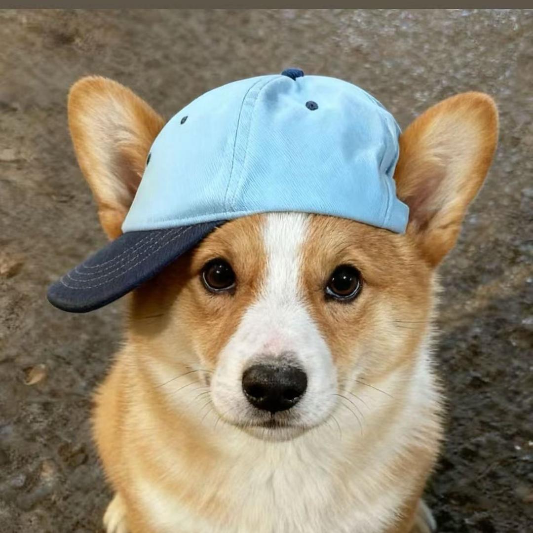 小谭