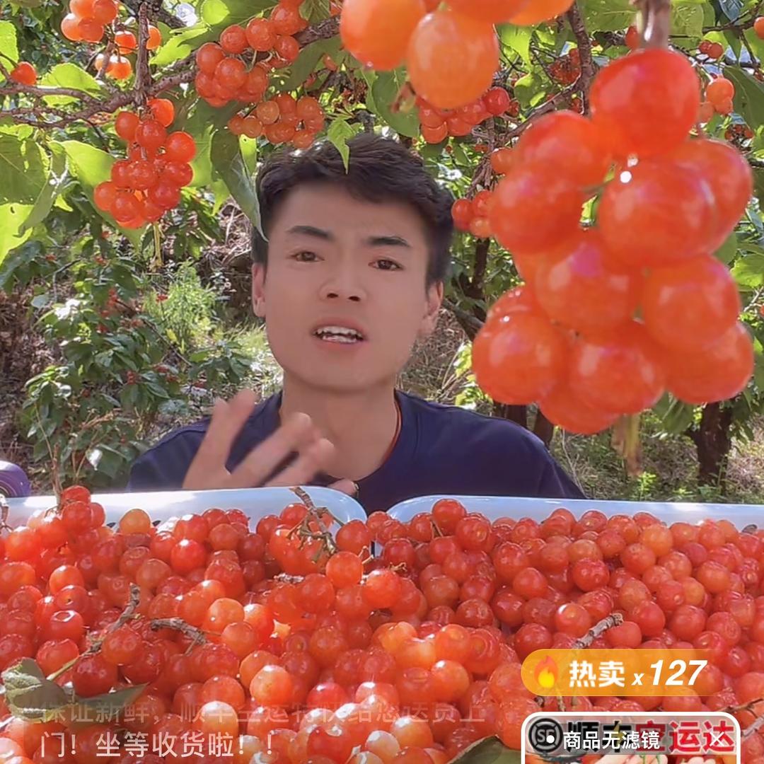 蜀乡农派
