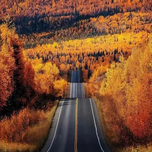 长征路上的话事人