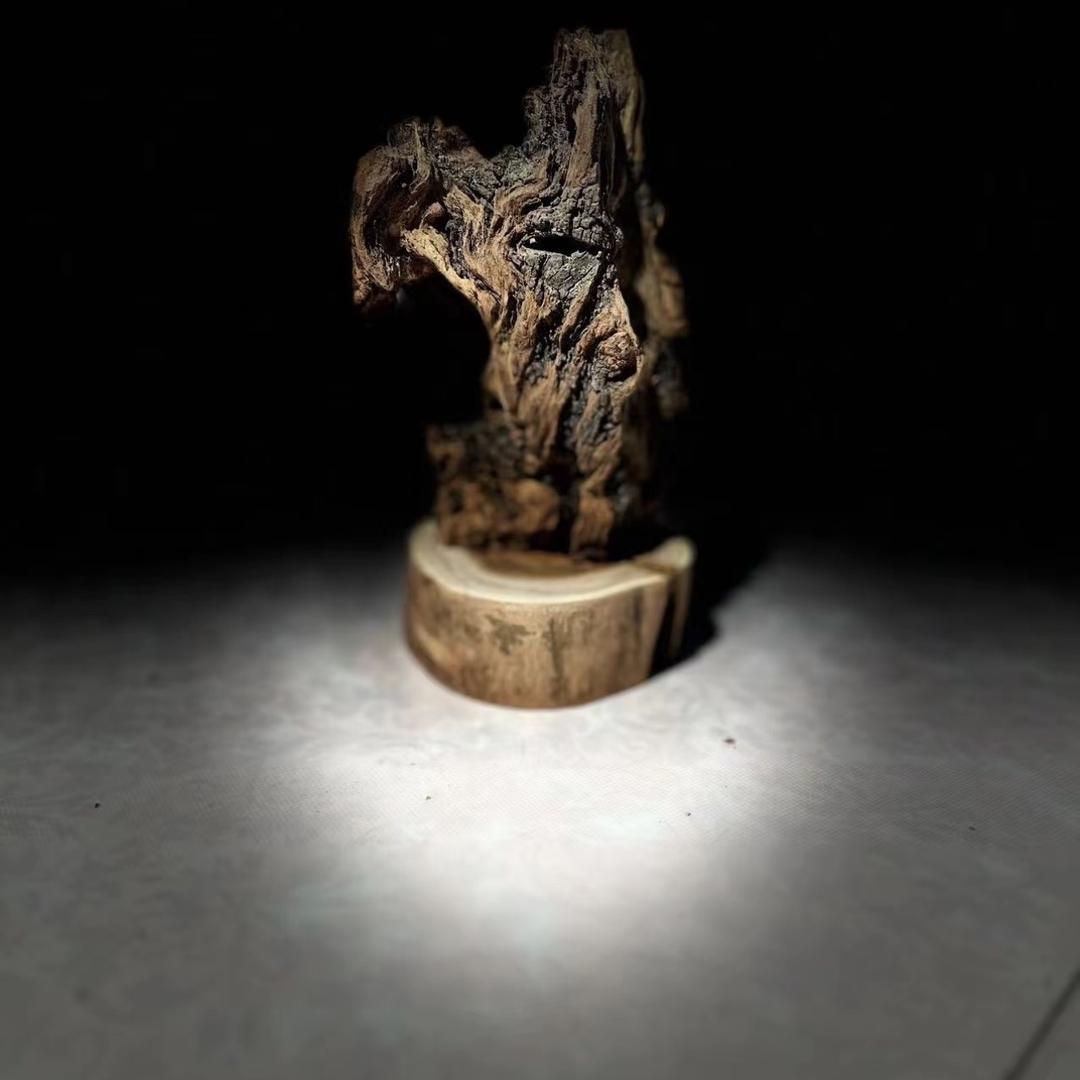 臻品雷击木