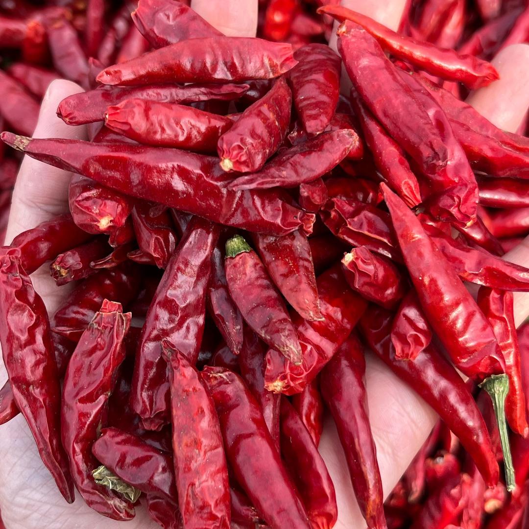 柘城辣椒女王🌶️大玲