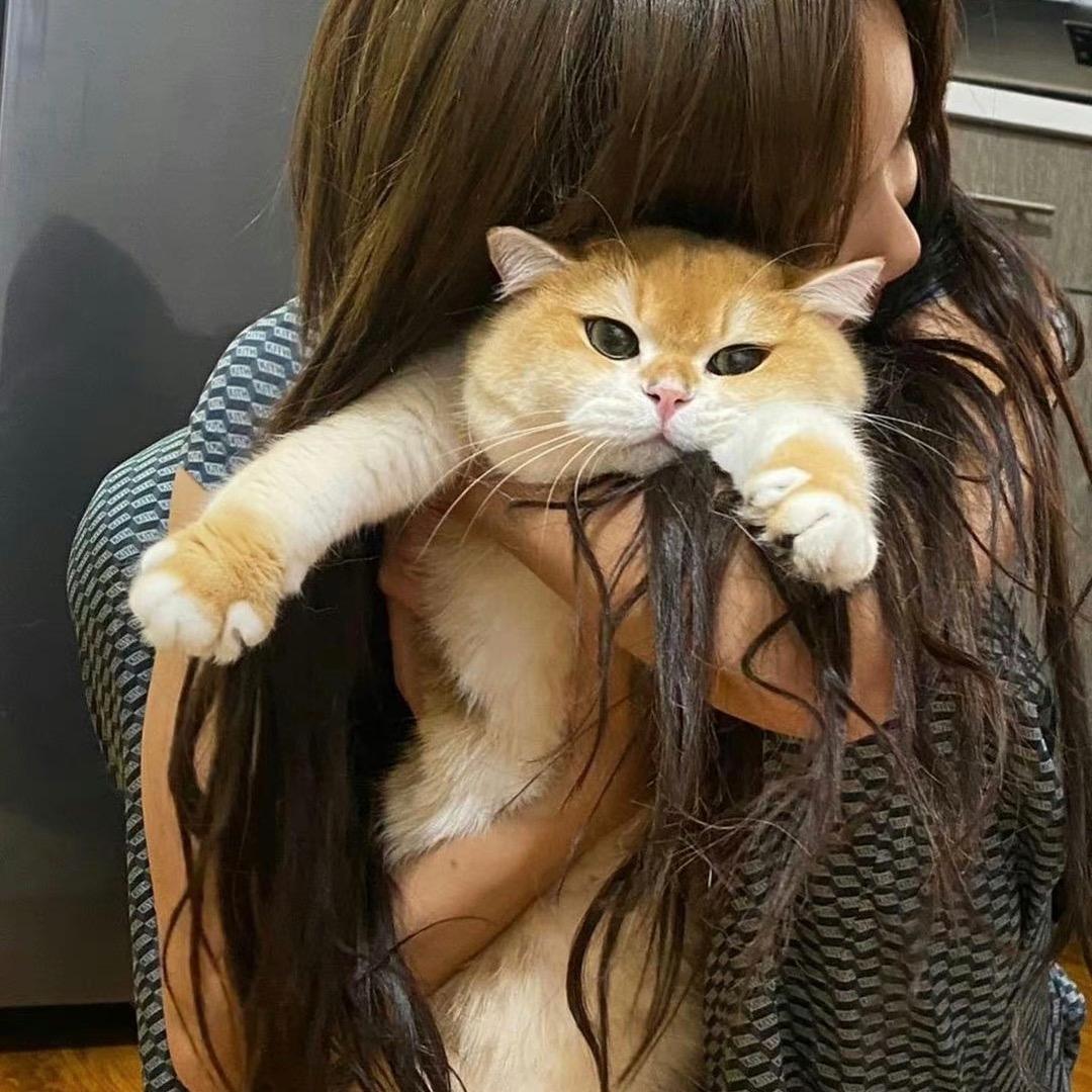 大狗吃小狗