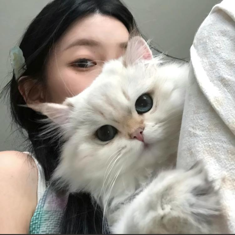 火爆程程