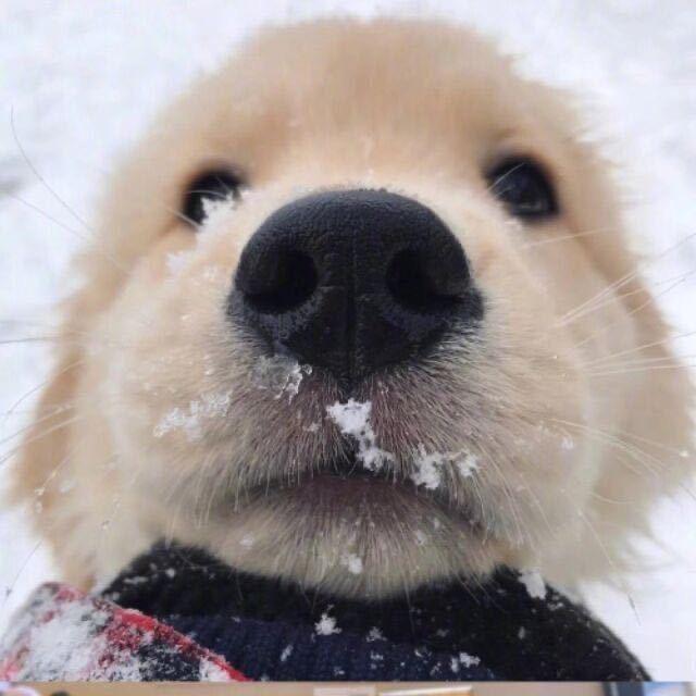 初三