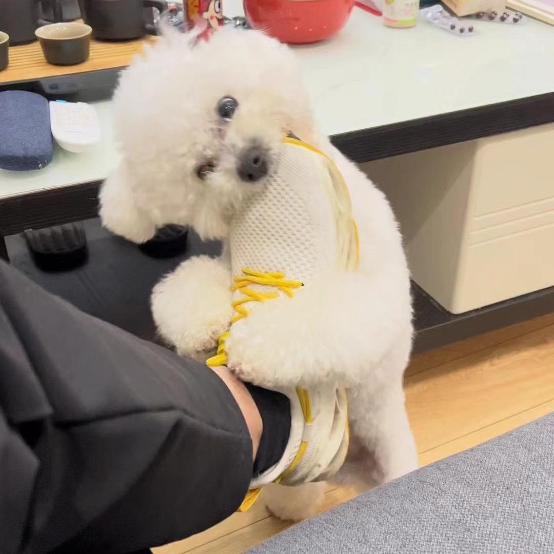 嘿嘿y