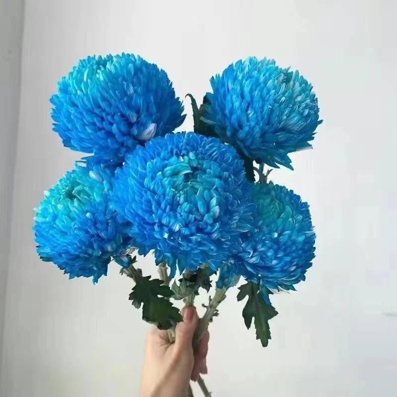 叶 归