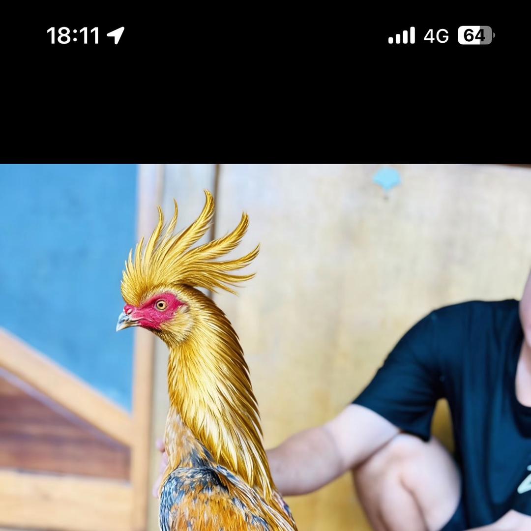 运城益嘉生态养殖有限公司