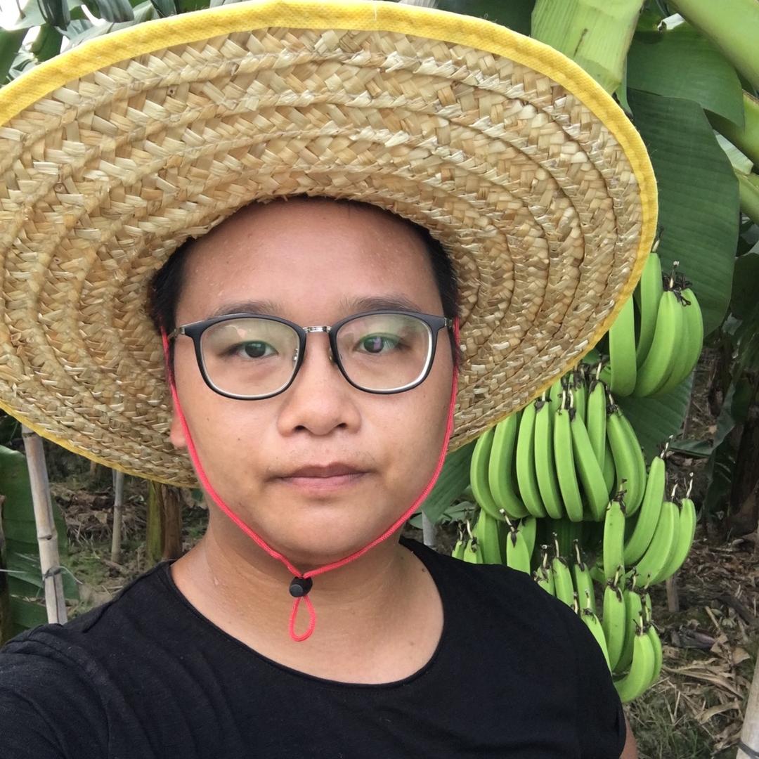 南国水果