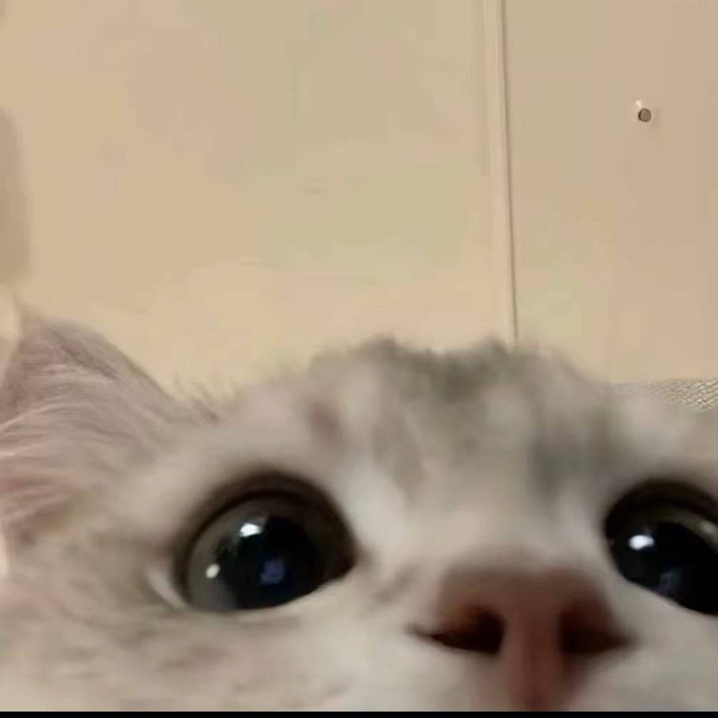 怎么在这