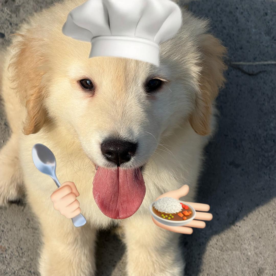 风云梦幻桌球汇-17号小雨