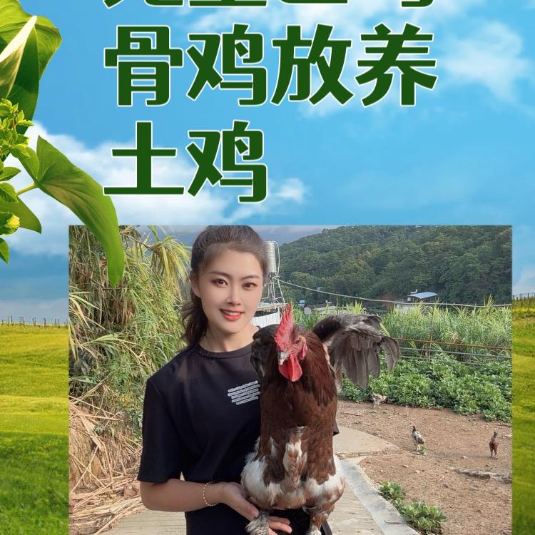 启峰农品汇
