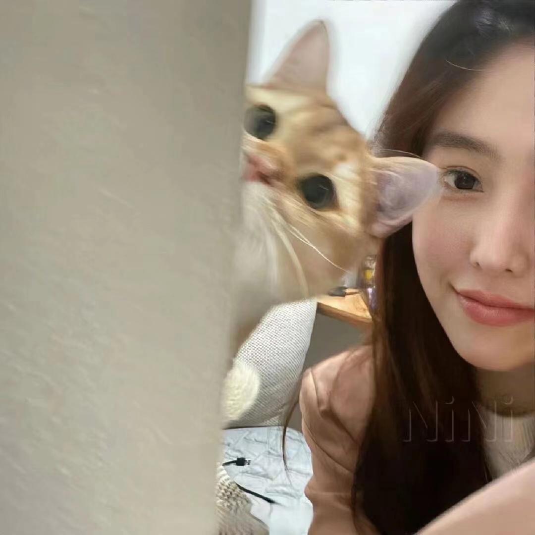 美丽俏佳人