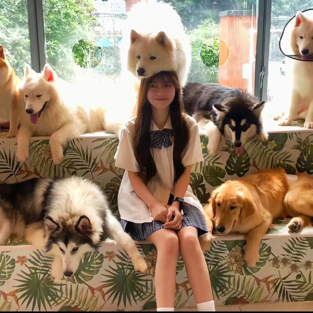 别因为正事耽误玩