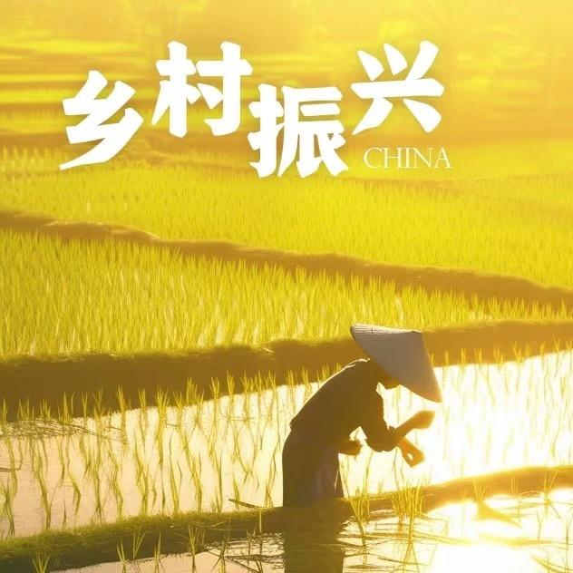 王小妹山货店