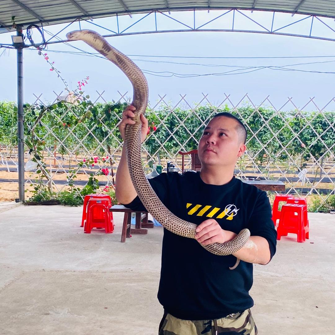 钦州杰仔