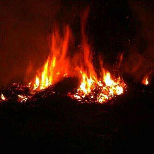 （缘）來不孤单