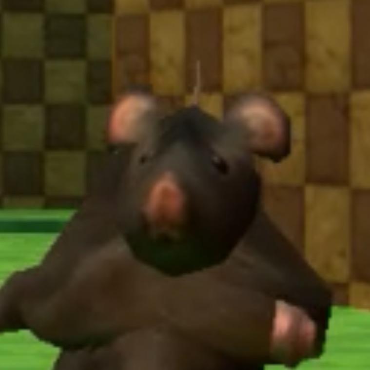鼠