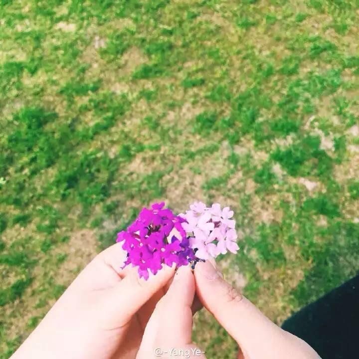 湖州互荣万顺EP&BA厂家 ～玉