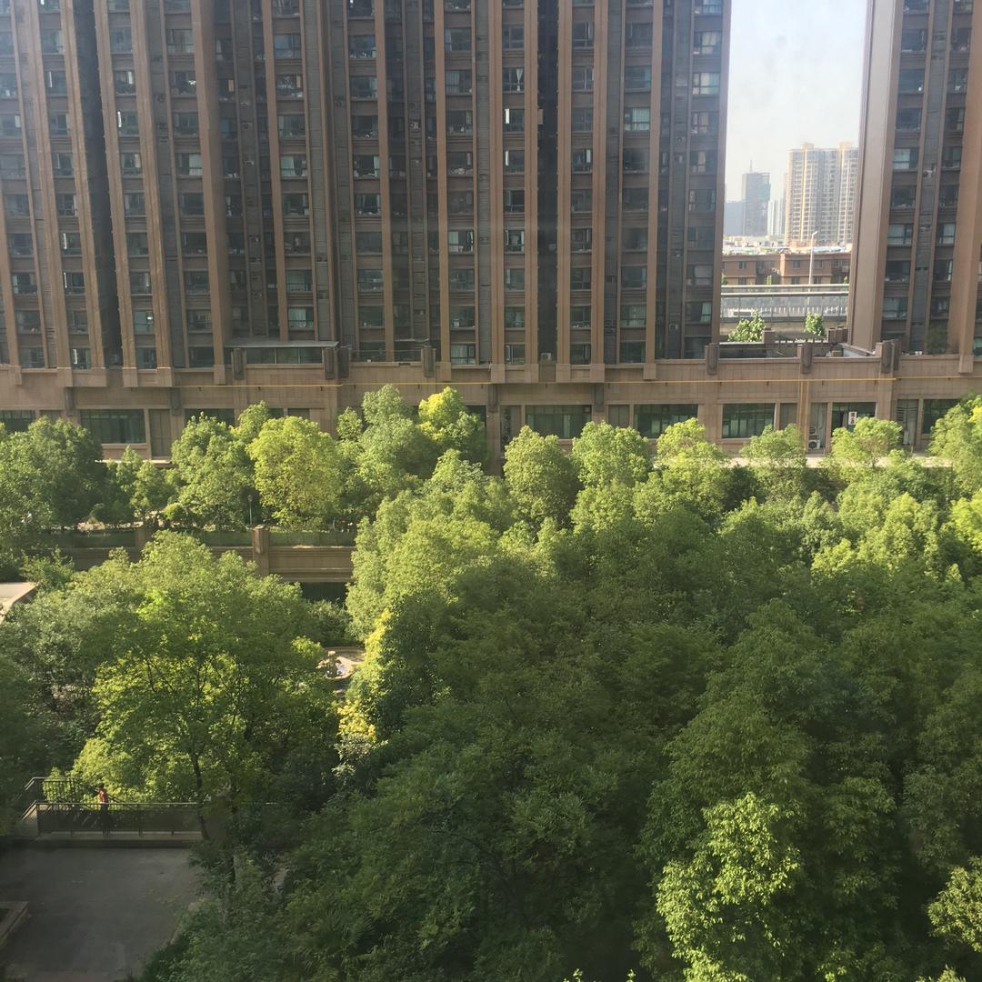北京晟馨源建筑工程有限公司丁丁直播号