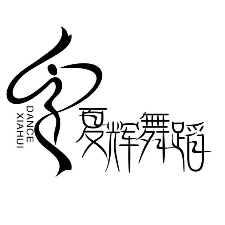 夏辉的小仙女们