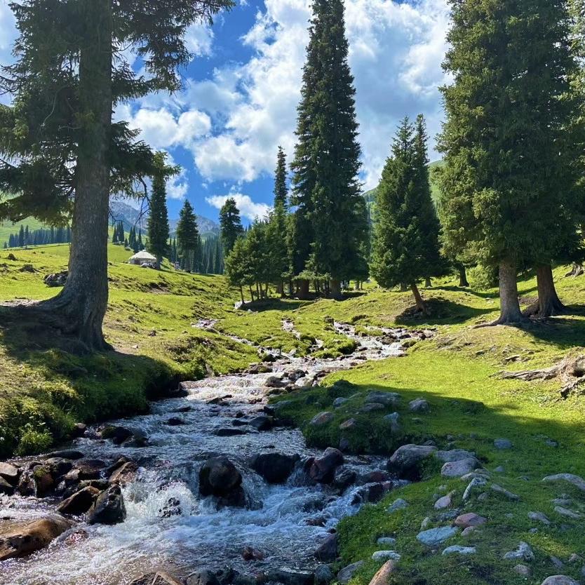 广州何莱通餐饮直播号