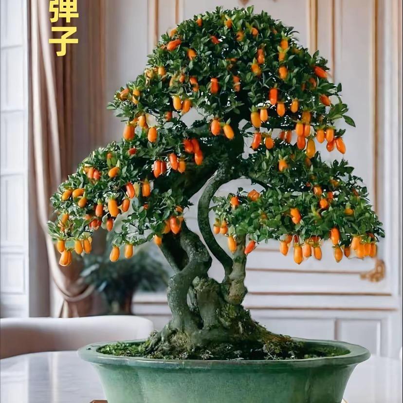 鸿哥园艺