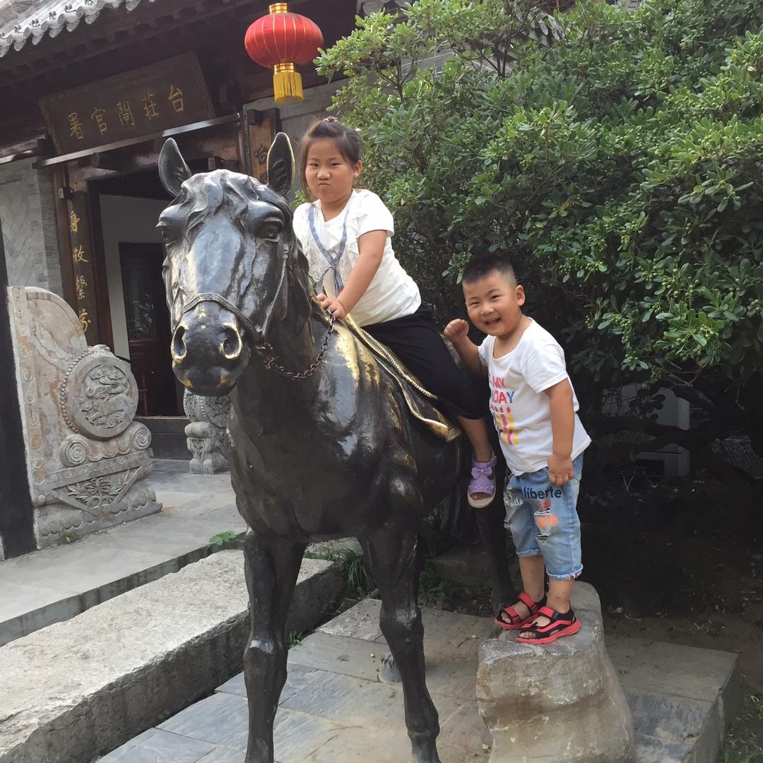 西瓜地🍉（陈）