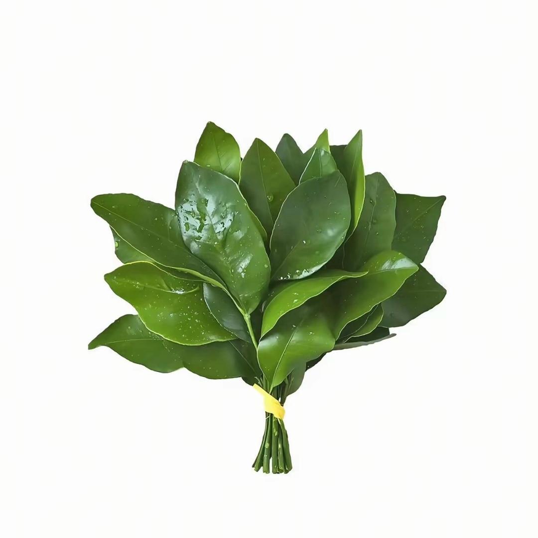 柴油味的青春日常Vlog