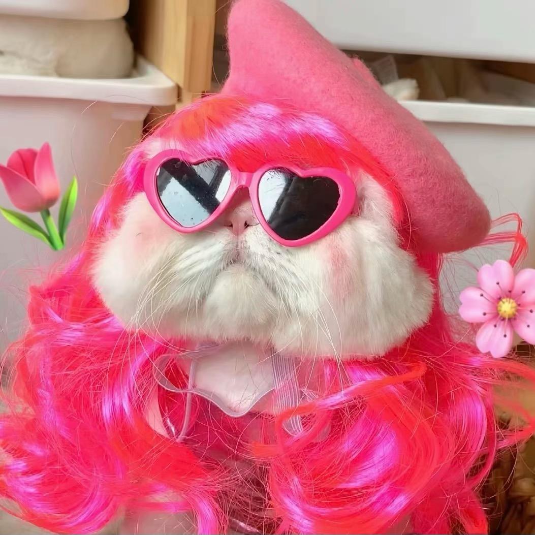 旺仔秋秋