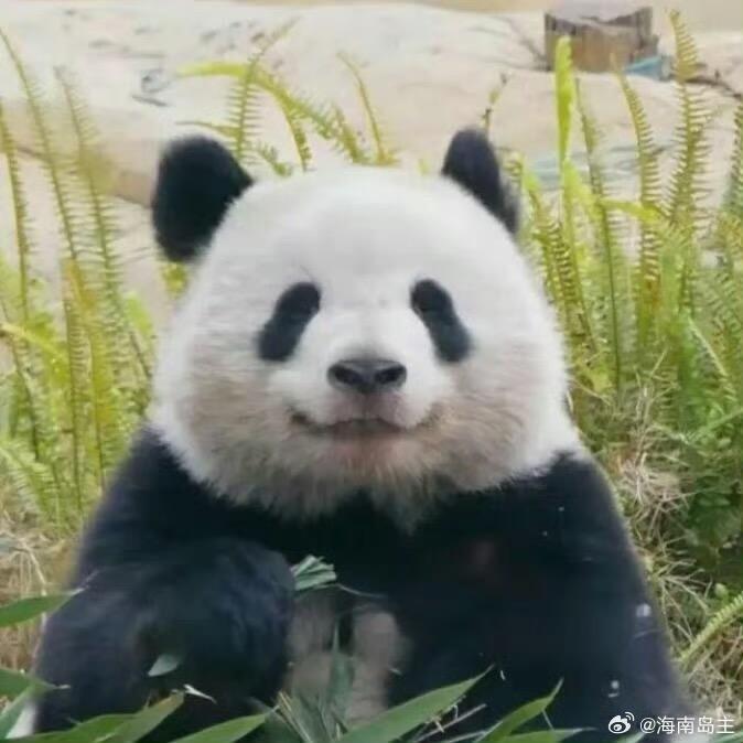 哈哈哈莫名