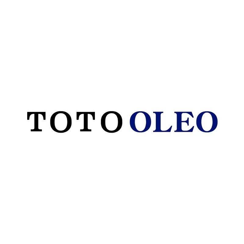 TOTOOLEO智能马桶旗舰店