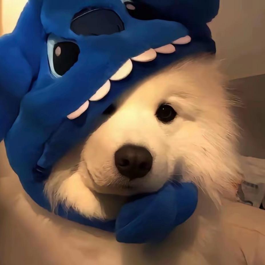 小张.