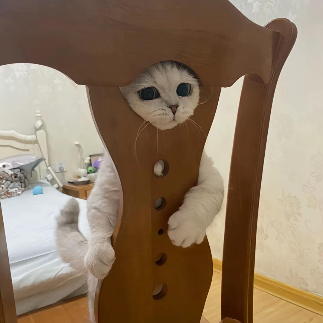 辣年糕吾要辣
