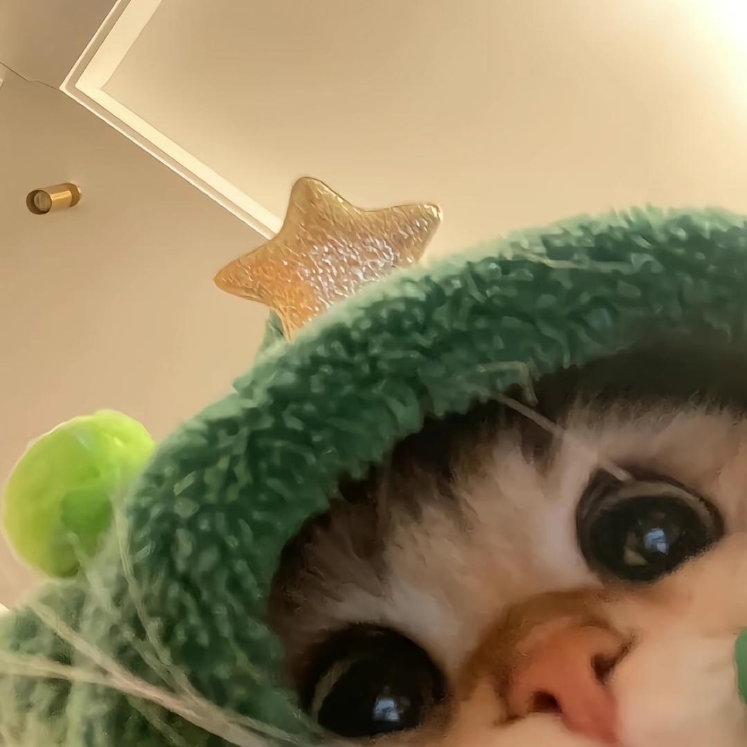 我有猫要养🐈