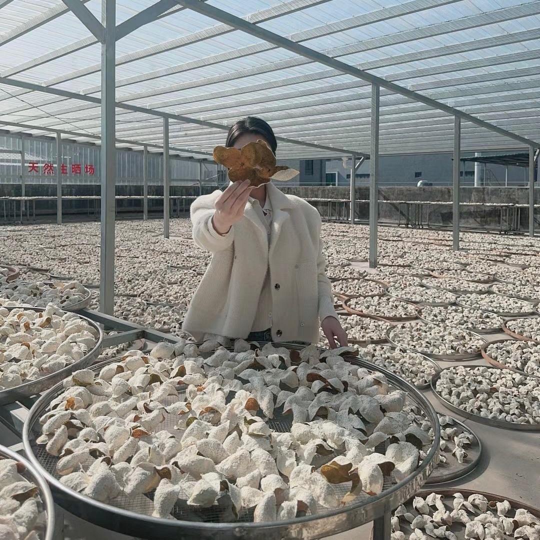 源溪茗茶(正宗新会陈皮)