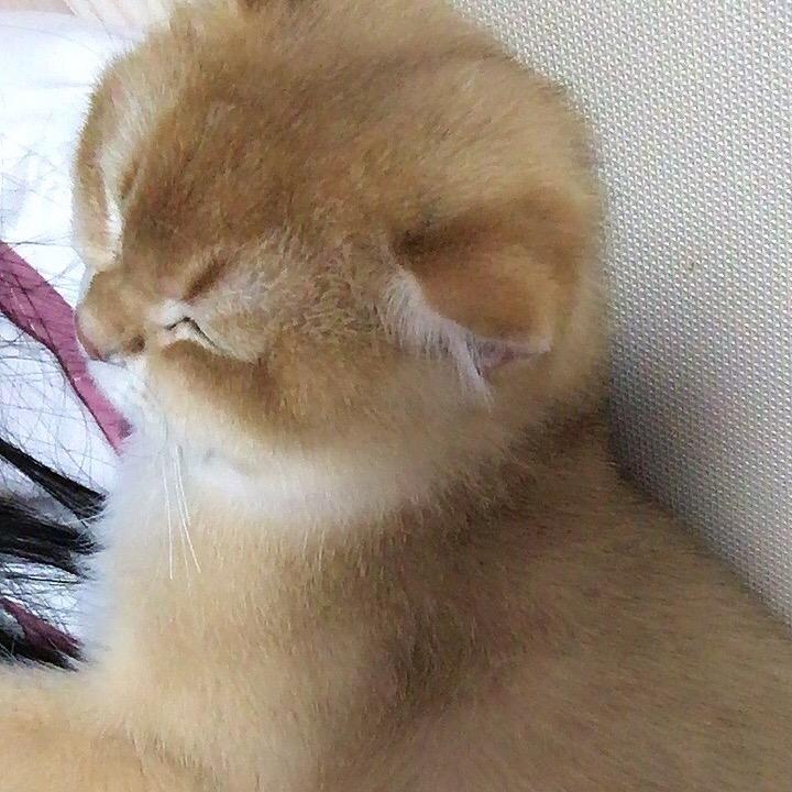 人力资源部