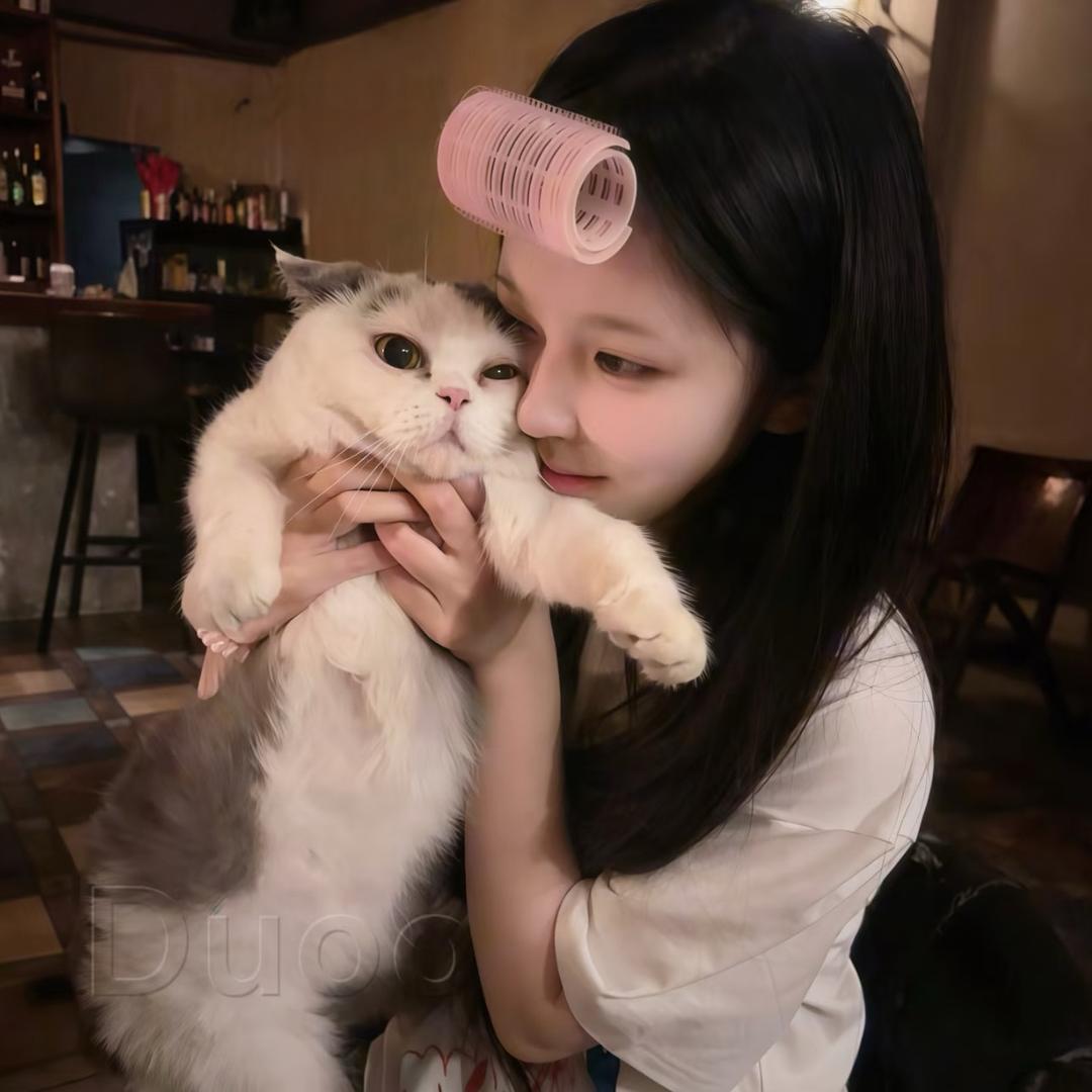 褒姒
