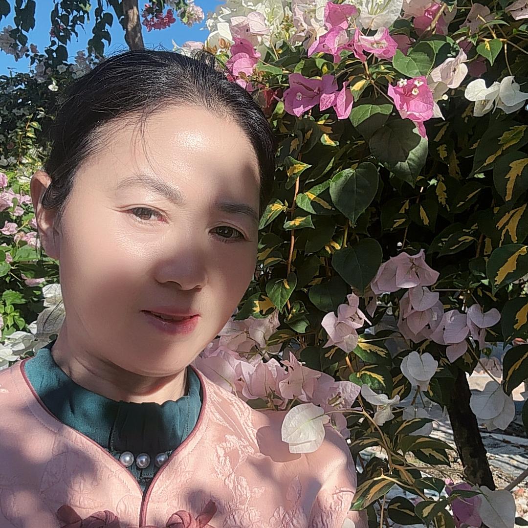 桃旅三角梅基地